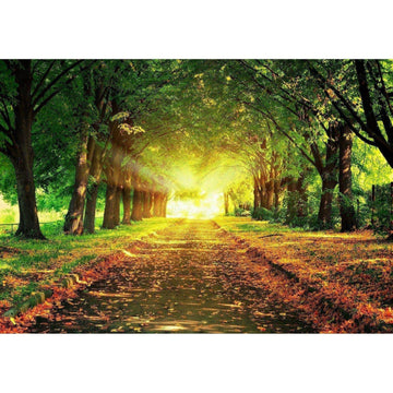 Diamond Paintings - Tree Road