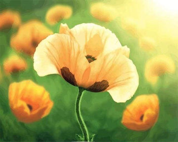 Paint by Numbers Kit - Tulips in full bloom
