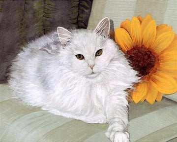 Paint by Numbers Kit - White Cat and Sunflower