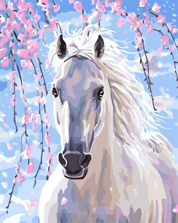 Paint by Numbers Kit - White Horse And Flowers