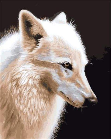 Paint by Numbers Kit - White Wolf