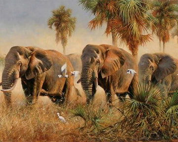 Paint by Numbers Kit - Wild elephants