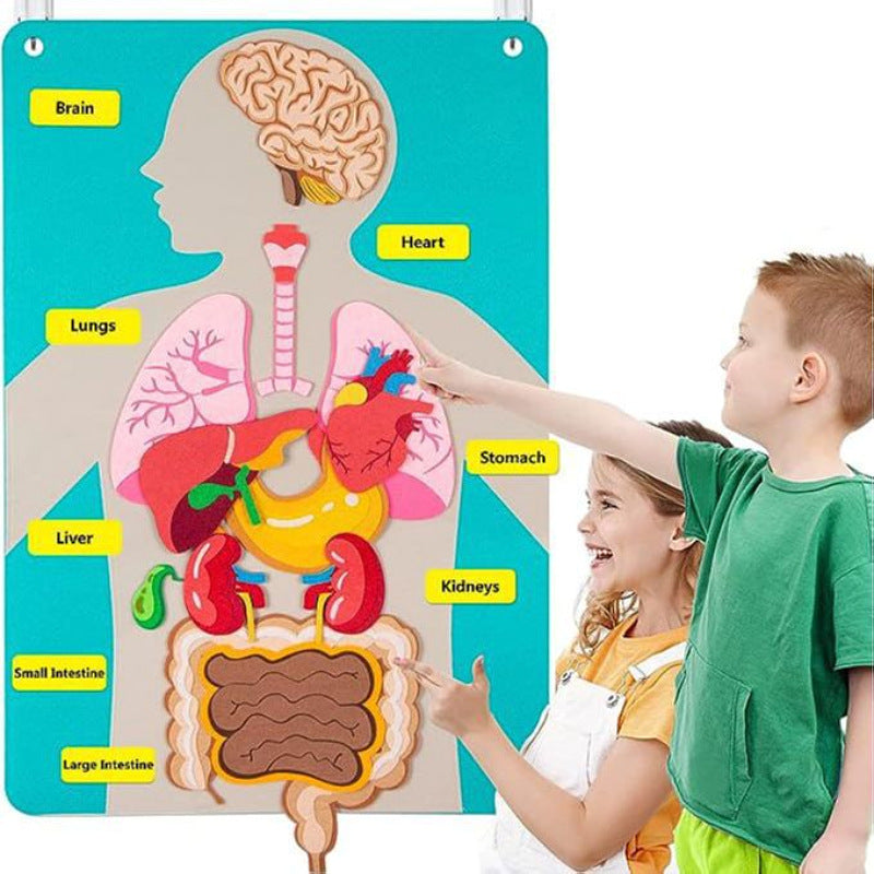 Human Body Anatomy Puzzle