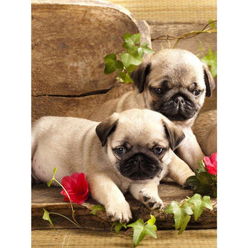 Diamond Paintings - 2 Pug Puppies