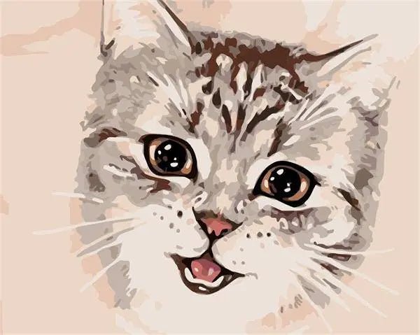 Paint by Numbers Kit - A Cat Face
