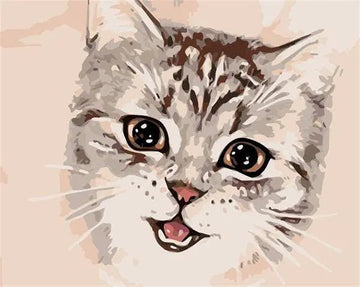 Paint by Numbers Kit - A Cat Face