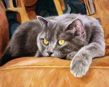 Paint by Numbers Kit - A Cat On A Chair