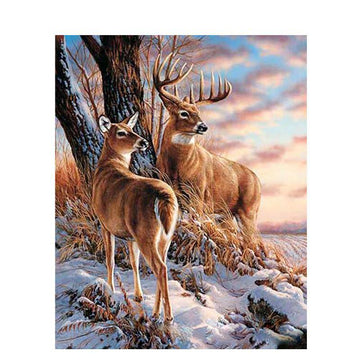 Paint by Numbers Kit - A Couple Of Deer
