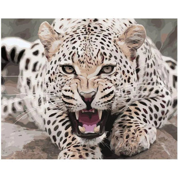 Paint by Numbers Kit - A Leopard On The Defense