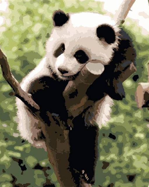 Paint by Numbers Kit - A Panda At Rest