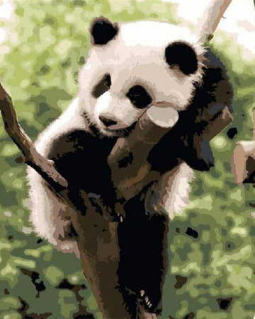 Paint by Numbers Kit - A Panda At Rest