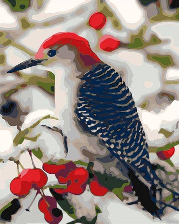 Paint by Numbers Kit - A Red Head Bird