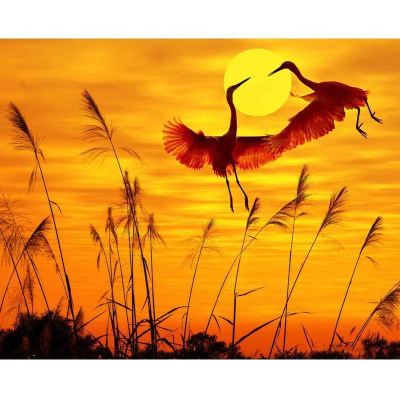 Paint by Numbers Kit - A Swan Couple At Sunset