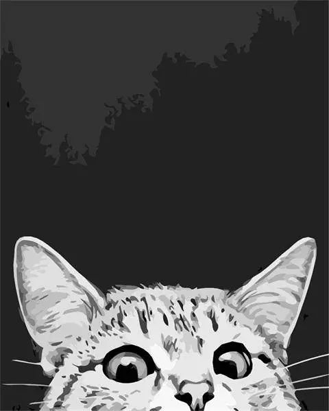Paint by Numbers Kit - A White Head Cat