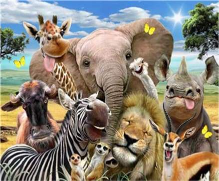 Paint by Numbers Kit - African Animals
