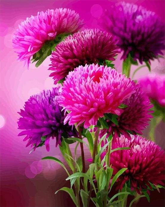 Paint by Numbers Kit - Aster Autumn Flower