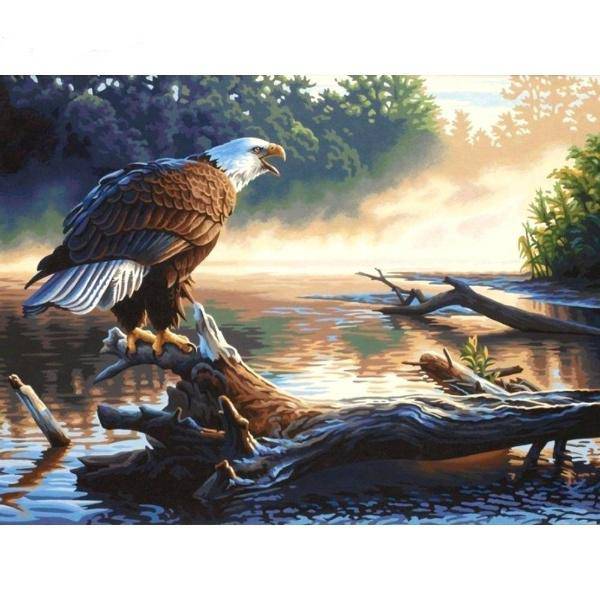 Diamond Paintings - Bald Eagle