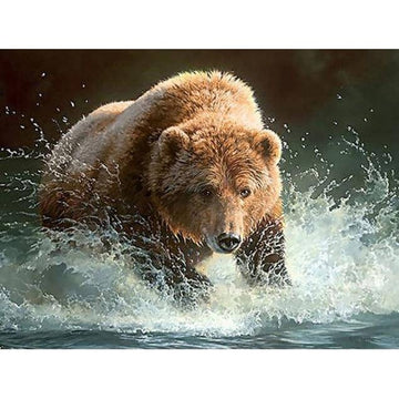 Diamond Paintings - Bear