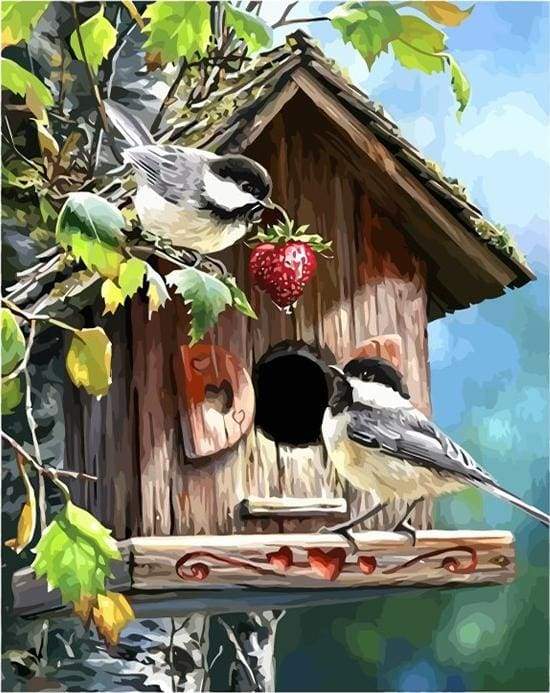 Paint by Numbers Kit - Bird House