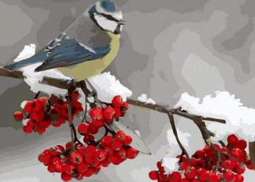 Paint by Numbers Kit - Bird and Red Fruits