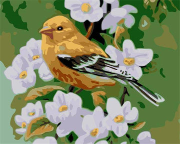 Paint by Numbers Kit - Bird and White Flower