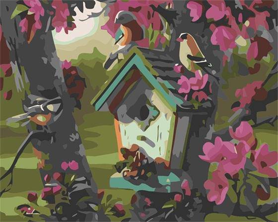 Paint by Numbers Kit - Birds House