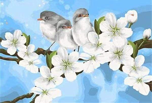 Paint by Numbers Kit - Birds and White Magnolia
