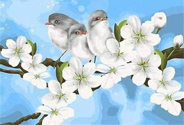Paint by Numbers Kit - Birds and White Magnolia