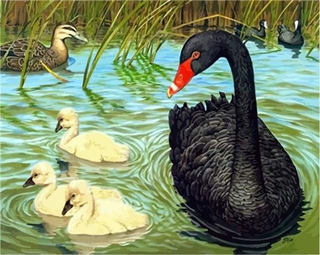 Paint by Numbers Kit - Birds in the Pond