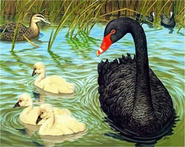 Paint by Numbers Kit - Birds in the Pond