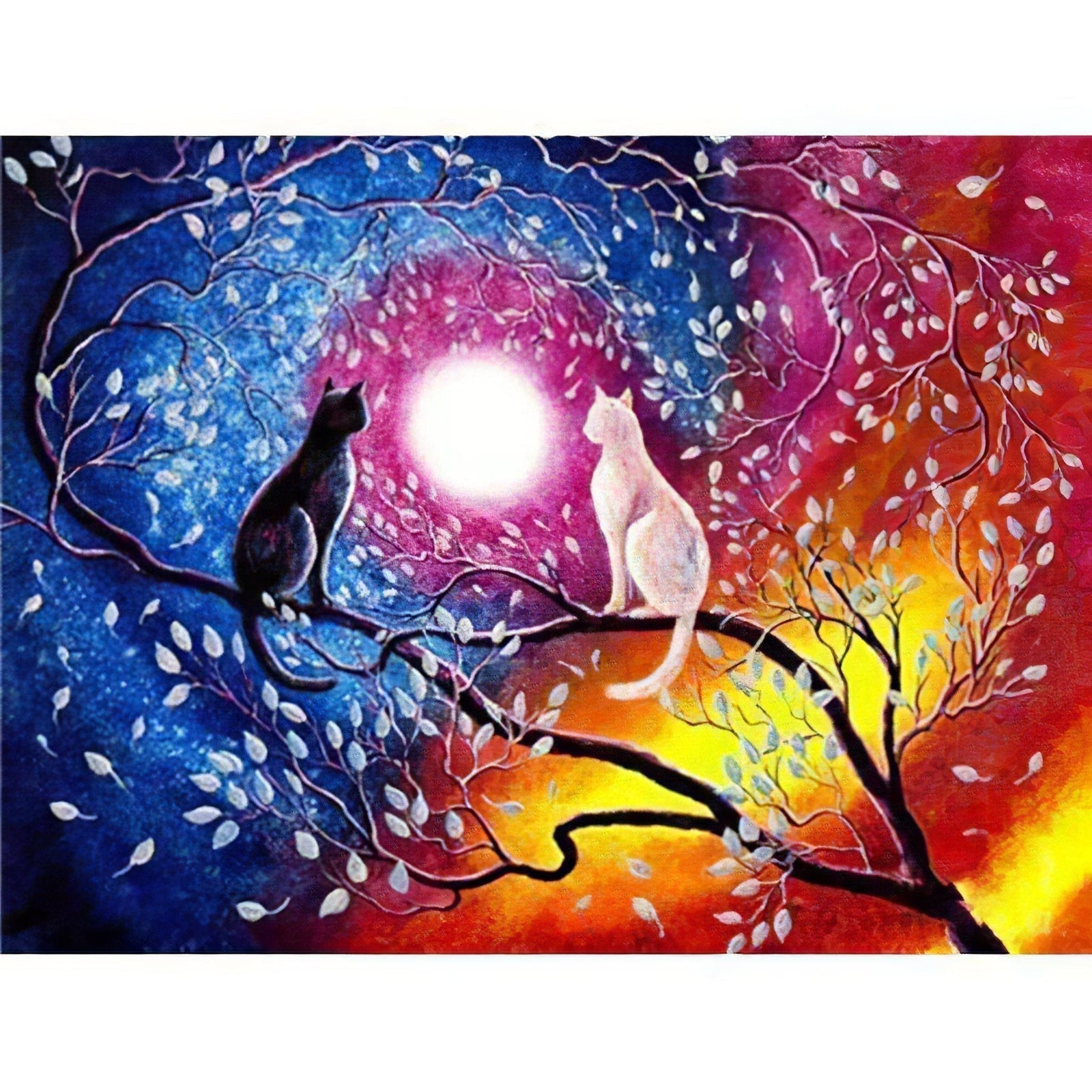 Diamond Paintings - Black And White Cats Are Watching The Moon