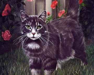 Diamond Paintings - Black Cat