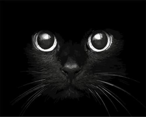 Paint by Numbers Kit - Black Cat Head
