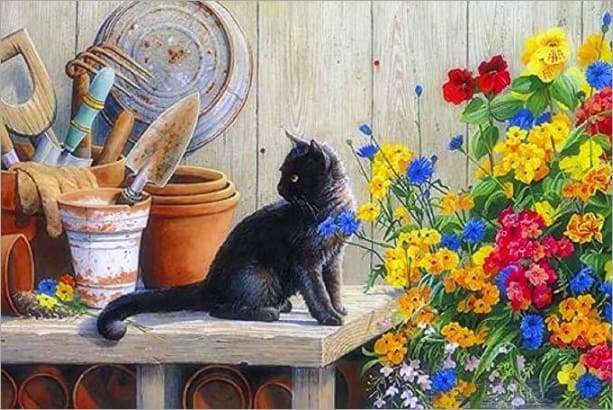 Paint by Numbers Kit - Black Kitten In The Garden