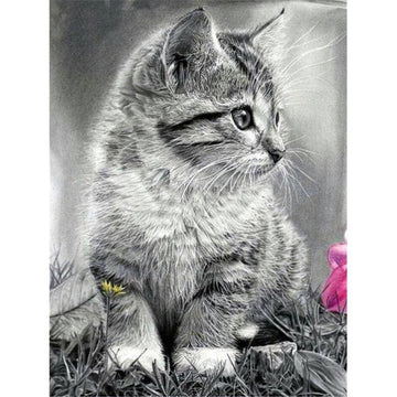 Diamond Paintings - Blind Cat