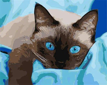 Paint by Numbers Kit - Blue Eyed Cat Lying