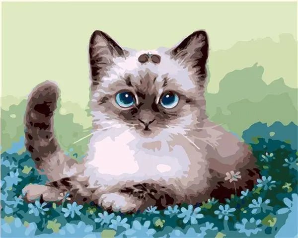 Paint by Numbers Kit - Blue Flowers With Cat