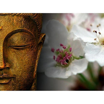 Diamond Paintings - Buddha With White Flowers