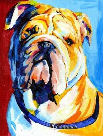 Paint by Numbers Kit - Bulldog