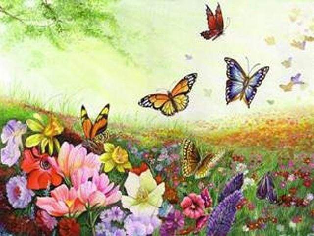 Paint by Numbers Kit - Butterflies and Flowers