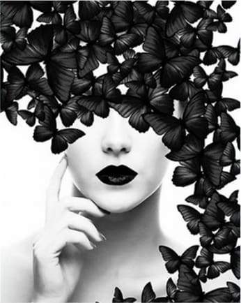 Paint by Numbers Kit - Butterfly Beauty