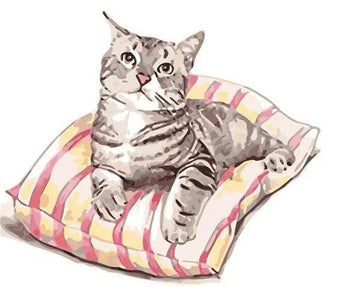 Paint by Numbers Kit - Cat Sitting On a Pillow