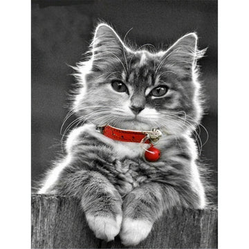 Diamond Paintings - Cat With A Red Necklace