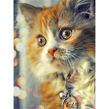 Diamond Paintings - Cat With Shinning Eyes