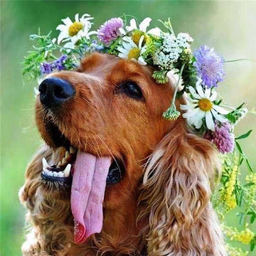 Diamond Paintings - Charming Dog