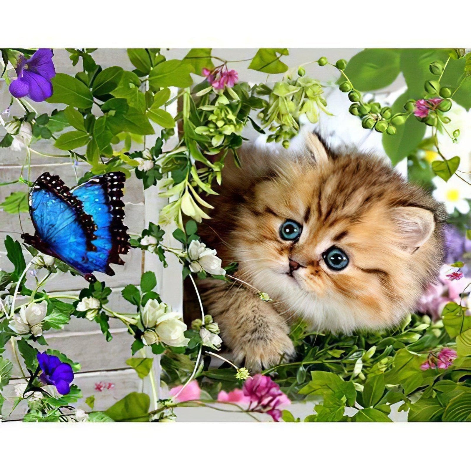 Diamond Paintings - Chaton Et Papillon