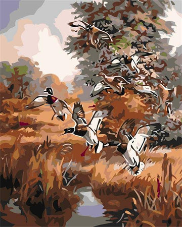 Paint by Numbers Kit - Cheerful Ducks