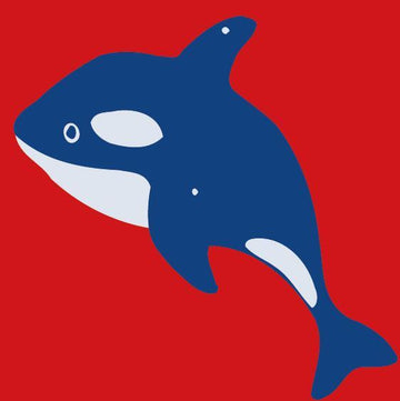 Paint by Numbers Kit - Children Painting kit Small Orca