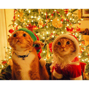 Diamond Paintings - Christmas Cute Cat