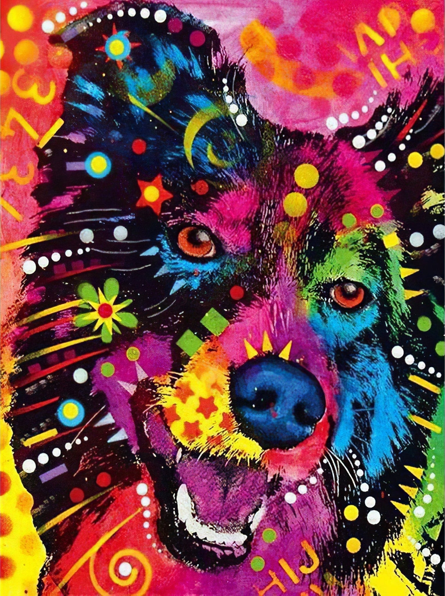 Diamond Paintings - Colored Dog